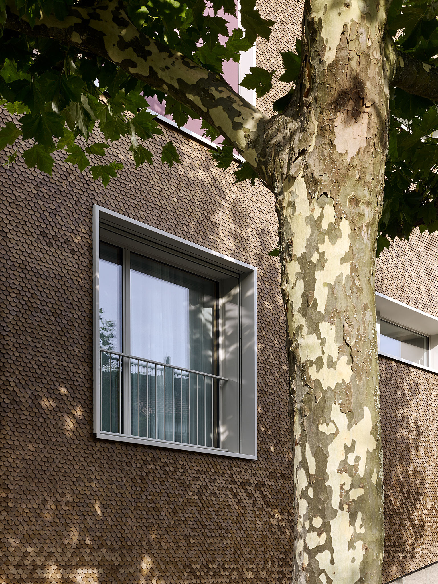 Pflegewohnungen Udligenswil